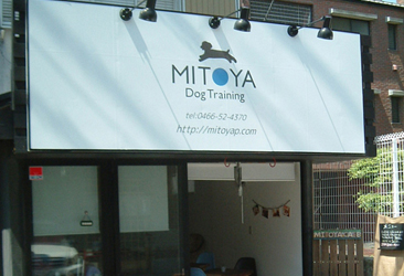 ＭＩＴＯＹＡ　Dog Training様